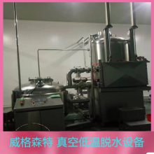 低温油炸机 薯片果蔬脆真空油炸机 苹果果蔬脆片加工设备厂家
