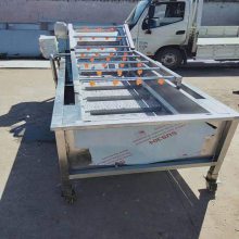 全自动洗水果机 果蔬清洗机净菜加工设备 洗菜机可定制
