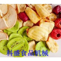 果蔬脆片加工设备专业制造商-诸城科盛果蔬脆片真空低温油炸机专业生产厂家