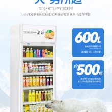 四川重庆现货啤酒柜系列，经济款饮料冷藏展示柜，厂家货源充足发货快，商用制冷设备