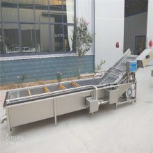 小型大枣气泡清洗机 全自动果蔬加工设备 洗菜机洗果机