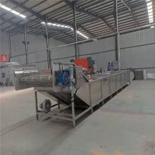 CG-6000型辰谷牌连续式香菇漂烫机 果蔬速冻前漂烫加工设备