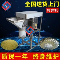 生产  九盈-果蔬加工设备 小型蒜泥机打碎机TJ-308