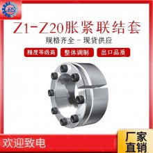 工业胀套传动件 Z15胀紧套 STK胀套 LOCK胀紧联结套 RFN涨套