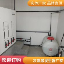 果蔬加工厂设备 来图定制次氯酸发生器 匠心打造