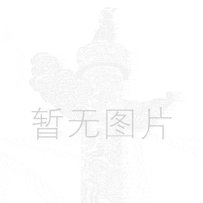 果蔬加工设备 优质不锈钢打浆机 柑橘打浆机 小型苹果打浆机 厂家直销