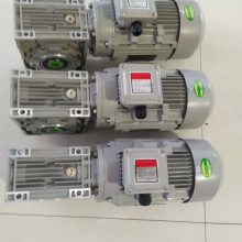 包装机械用铝合金涡轮减速电机RV075/30-YX3-90S-4-1.1KW