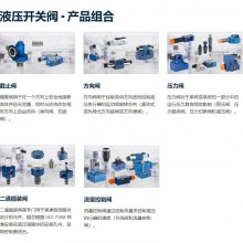 Rexroth 密封件 R961008606 SEAL KIT CDL2.063/036M