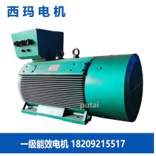 西玛 YE4 4502-10 400KW 高效节能低噪音笼型 三相异步交流电机 水泵