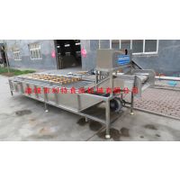 荷叶茶前处理设备 高压气泡清洗机 果蔬加工设备哪家好