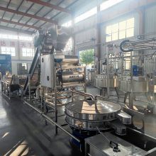 全自动芒果汁加工流水线 盒装椰子汁成套机械 调配型饮料生产设备