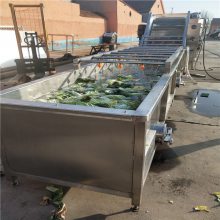 果蔬气泡清洗机 净菜加工设备 叶类菜清洗设备 景翔定制