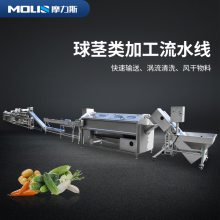 摩力斯中央厨房净菜加工设备 大型球茎类果蔬生产流水线