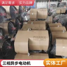源头工厂微型马达搅拌机饮料机电动展台60KTYZ爪极式永磁同步电机