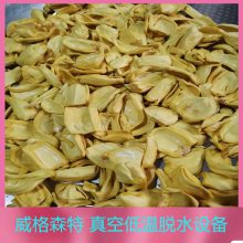 猕猴桃果蔬脆片加工设备 秋葵真空油炸机 果蔬脆片膨化加工设备