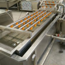 净菜加工设备 商用果蔬涡流清洗流水线 循环过滤不费水