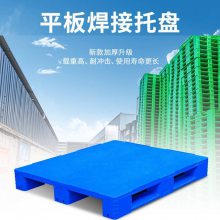 平板形状塑料托盘 啤酒饮料物流运输堆垛设备塑料 源之博